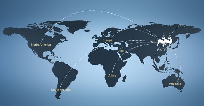 Les produits ont été exportés vers de nombreux pays et régions tels que l'Asie du Sud-Est, la Russie, l'Amérique latine et le Moyen-Orient, et la qualité et l'emballage des produits ont été largement reconnus sur le marché mondial.